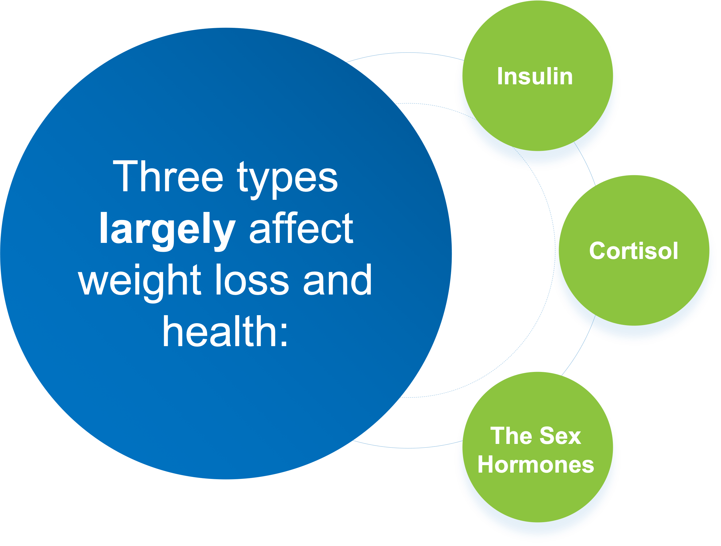 3 types of hormones that largely affect weight loss - illustration
